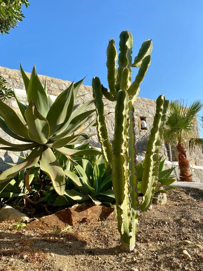 Sensus Mykonos Apartment Kalafatis Bagian luar foto